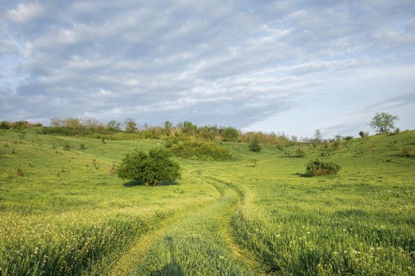 Voyager Pour Decouvrir